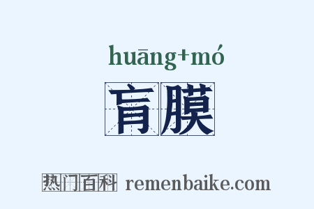 肓膜是什么意思的图片